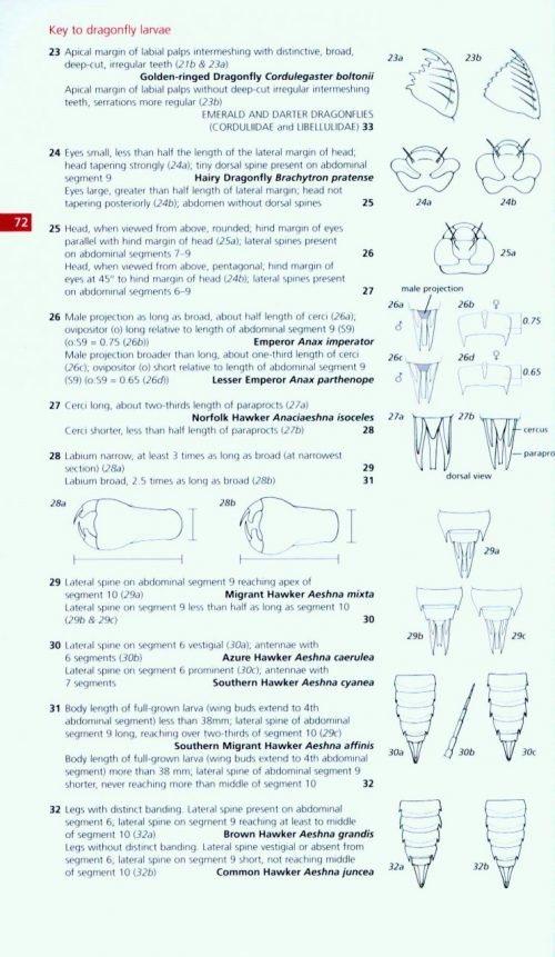 Field Guide to the Dragonflies & Damselflies of Great Britain and ...