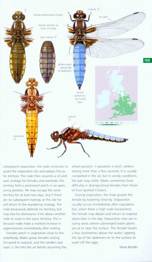 Field Guide to the Dragonflies & Damselflies of Great Britain and ...