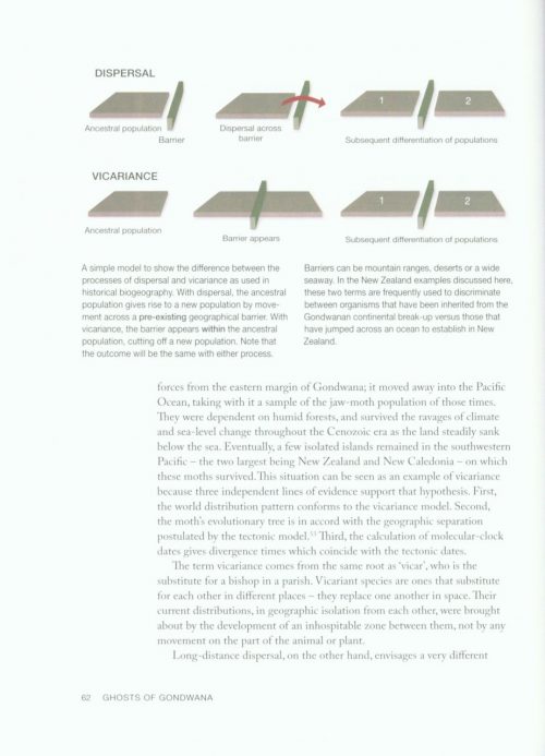 Ghosts of Gondwana:  The History of Life in New Zealand (Revised Edition) - Image 2