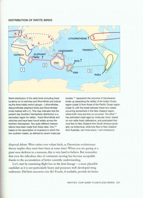 Ghosts of Gondwana:  The History of Life in New Zealand (Revised Edition) - Image 4