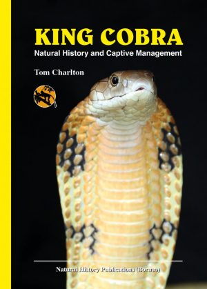 King Cobra:  Natural History and Captive Management