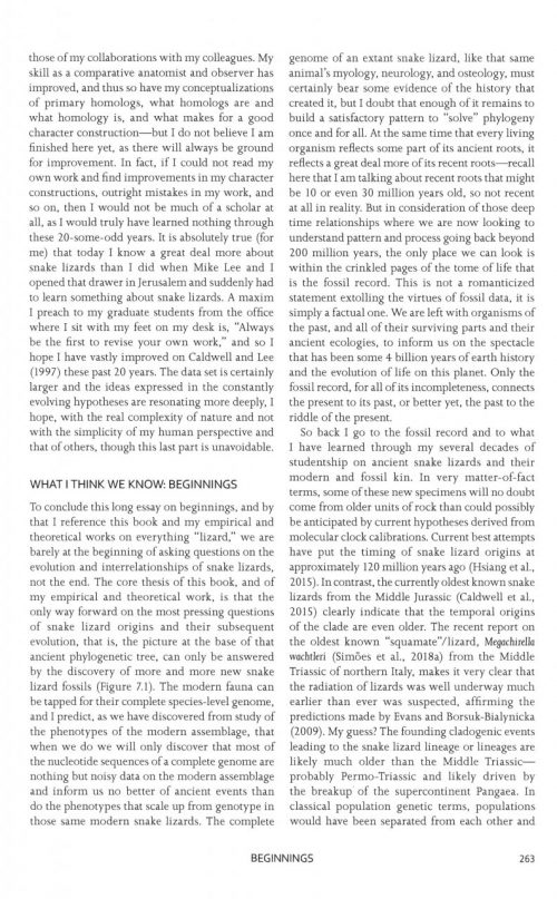 The Origin of Snakes:   Morphology and the Fossil Record - Image 3