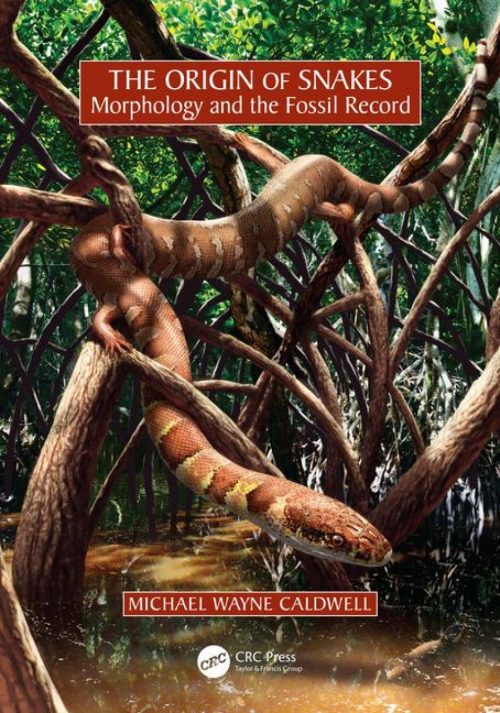 The Origin of Snakes:   Morphology and the Fossil Record