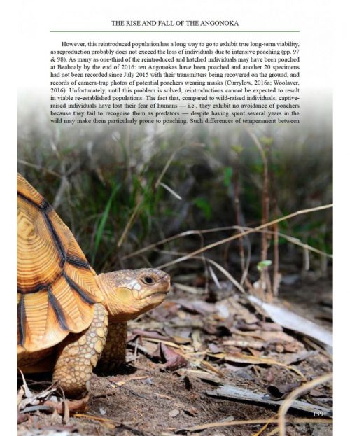 Twilight of the Angonoka:  Biology and Conservation of the World’s Rarest Tortoise - Image 5