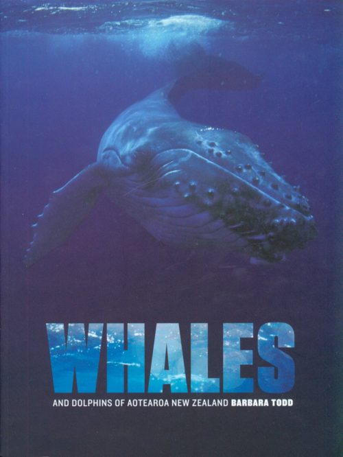Whales and Dolphins of Aotearoa:  New Zealand