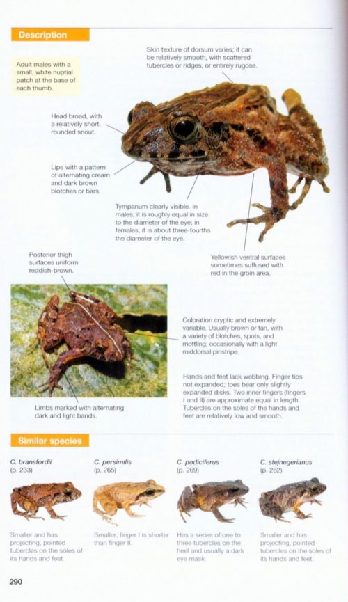 Amphibians of Costa Rica: A Field Guide - Image 4
