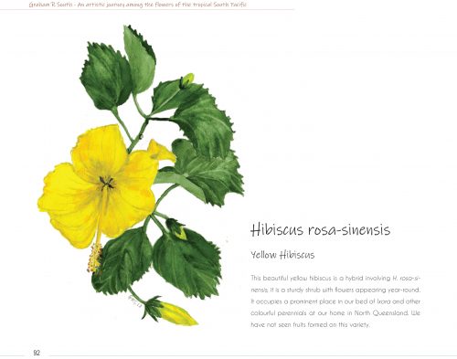 An Artistic Journey Among the Flowers of the Tropical South Pacific:  A Collection of Watercolours - Image 3