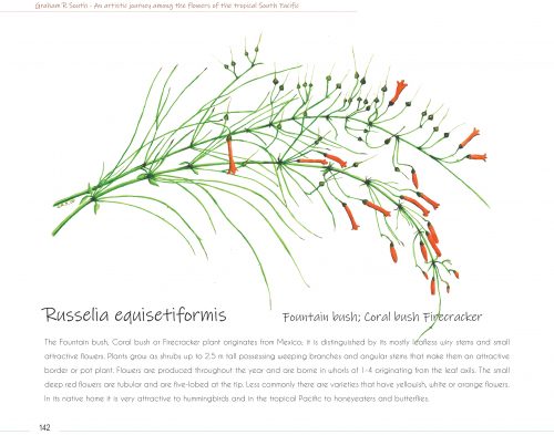 An Artistic Journey Among the Flowers of the Tropical South Pacific:  A Collection of Watercolours - Image 4