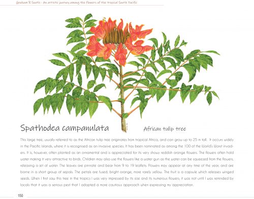 An Artistic Journey Among the Flowers of the Tropical South Pacific:  A Collection of Watercolours - Image 5