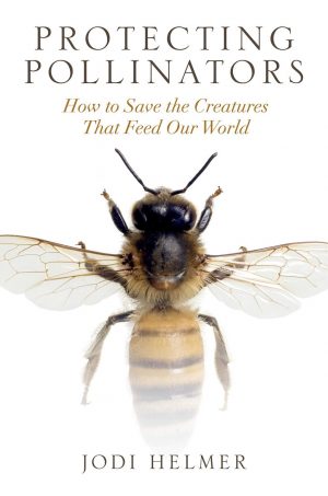 Protecting Pollinators:  How to Save the Creatures That Feed Our World