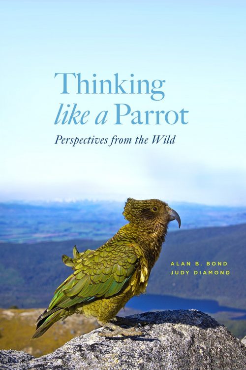 Thinking Like a Parrot:  Perspectives from the Wild