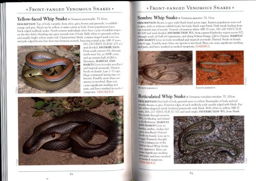 A Naturalist’s Guide to the Snakes of Australia (Second Edition) - Image 2