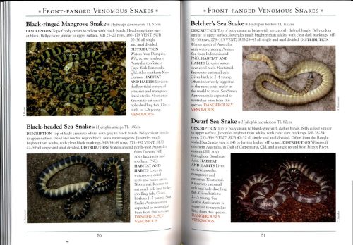 A Naturalist’s Guide to the Snakes of Australia (Second Edition) - Image 3