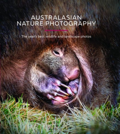 ANZANG 16th Edition:  Australasian Nature Photography: The Year's Best Wildlife and Landscape Photos