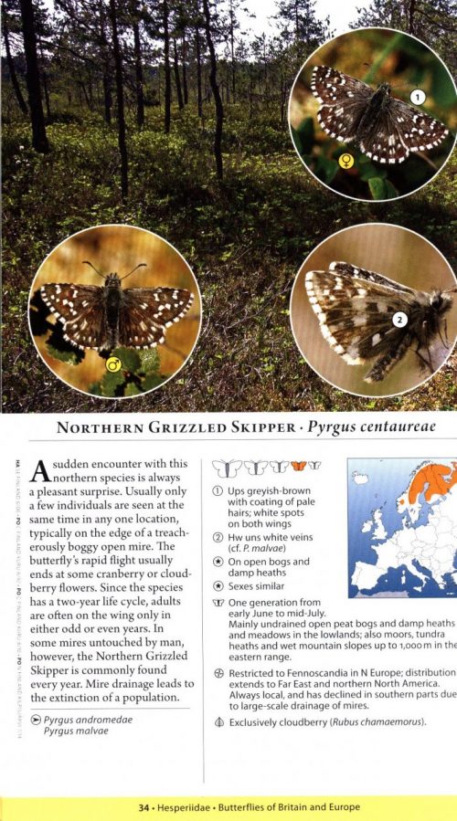 Butterflies of Britain and Europe:  A Photographic Guide (Second Edition) - Image 3