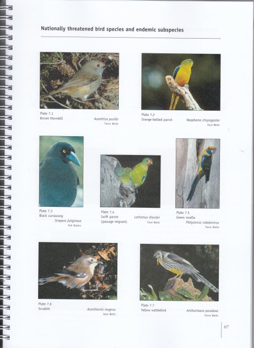 The Fauna of King Island:  A Guide to Identification and Conservation Management - Image 3