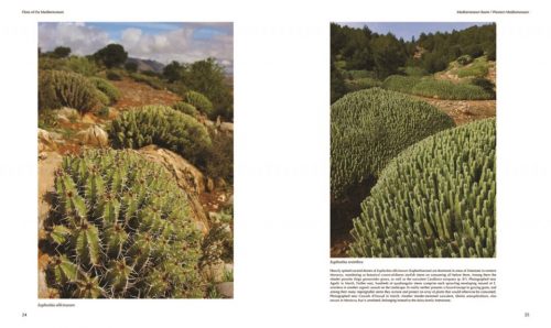 Flora of the Mediterranean:  With California, Chile, Australia & South Africa – An Illustrated Guide - Image 5