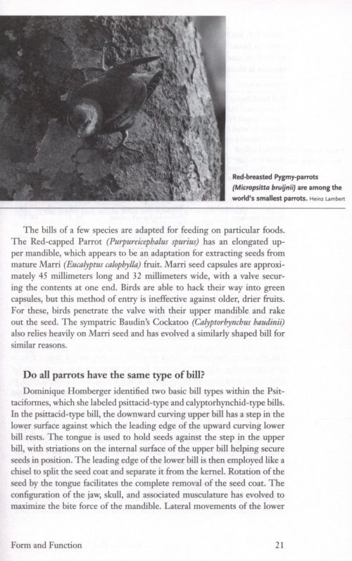 Parrots: The Animal Answer Guide - Image 2
