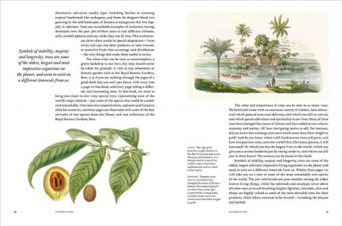 Remarkable Trees - Image 3