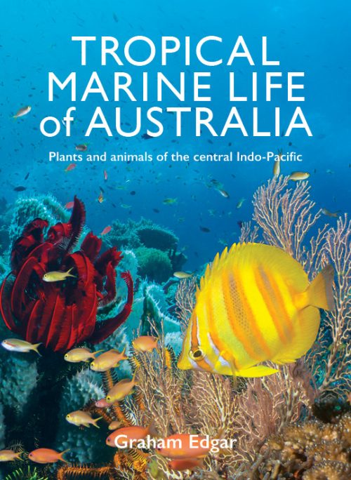 Tropical Marine Life of Australia:  Plants and Animals of the Central Indo-Pacific
