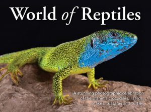 World of Reptiles:  A Stunning Photographic Celebration of the Planet's Crocodiles, Lizards, Snakes, Tuataras and Turtles