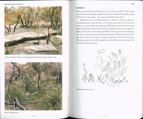 Bringing Back the Bush: The Bradley Method of Bush Regeneration - Image 2