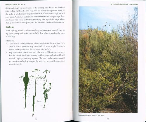 Bringing Back the Bush: The Bradley Method of Bush Regeneration - Image 4