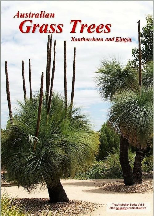 Australian Grass Trees : Xanthorrhoea and Kingia