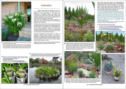 Australian Native Bulbs (Including Bulbous, Cormous and Tuberous Plants) - Image 3