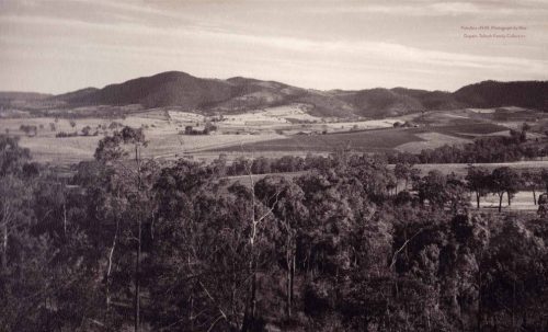 Hunter Wine: A History - Image 2