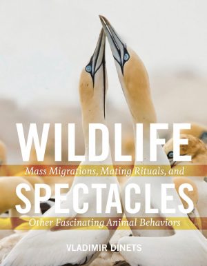Wildlife Spectacles:  Mass Migrations, Mating Rituals, and Other Fascinating Animal Behaviors