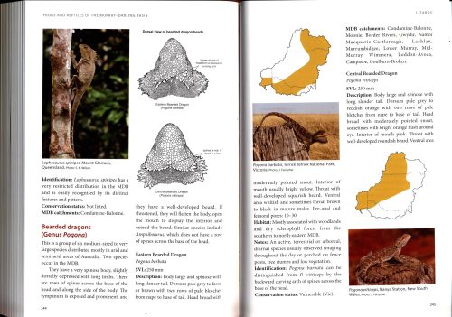 Frogs and Reptiles of the Murray-Darling Basin:  A Guide to Their Identification, Ecology and Conservation - Image 4