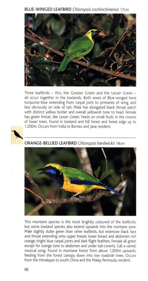 Birds of Peninsular Malaysia and Singapore (Pocket Photo Guide) - Image 2