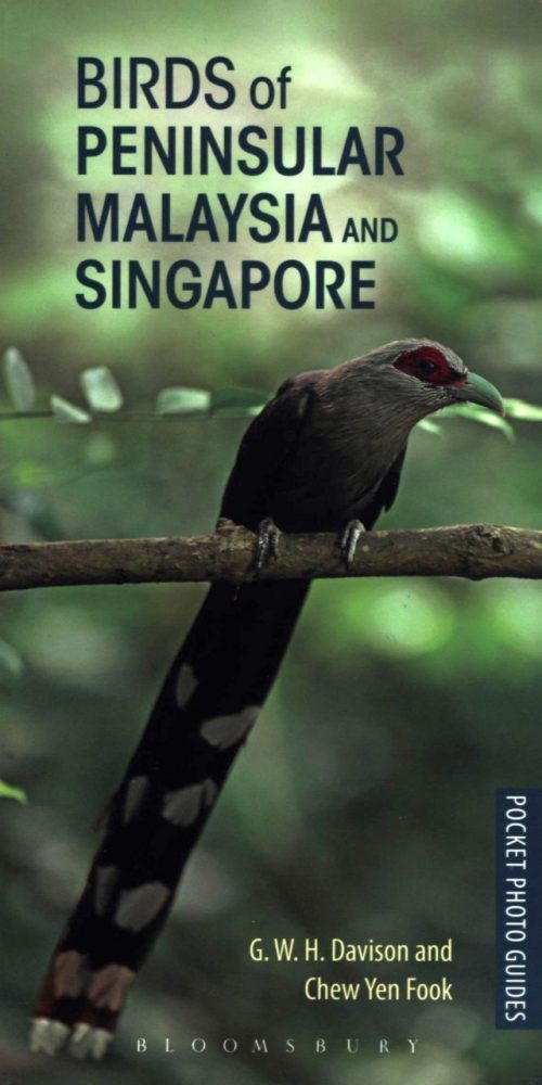 Birds of Peninsular Malaysia and Singapore (Pocket Photo Guide)