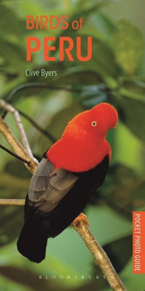 Birds of Peru (Pocket Photo Guide)