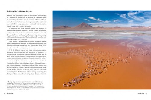 Planet Earth II:  A New World Revealed - Image 3