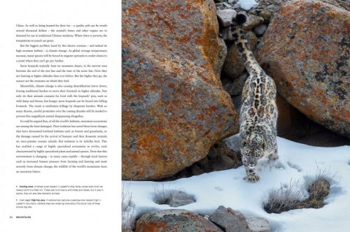 Planet Earth II:  A New World Revealed - Image 4