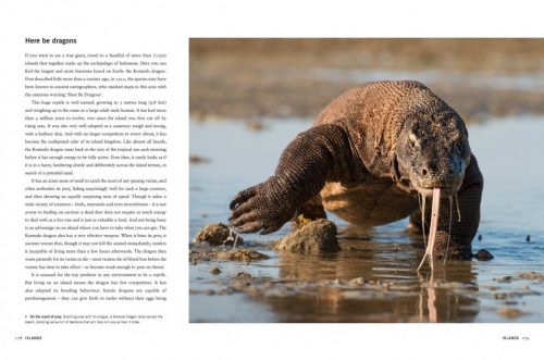 Planet Earth II:  A New World Revealed - Image 5