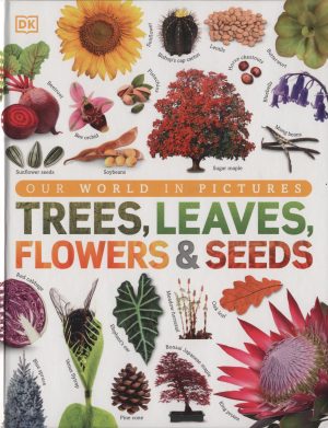 Trees, Leaves, Flowers & Seeds: Our World in Pictures