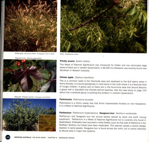 The Bush Book:  A Manual for Managing Native Vegetation Across Northern Australia - Image 2
