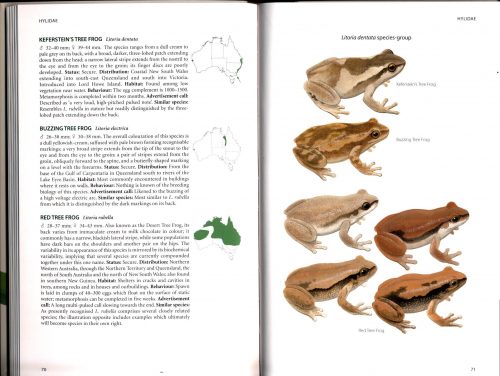 Field Guide to the Frogs of Australia (Second Edition) - Image 2