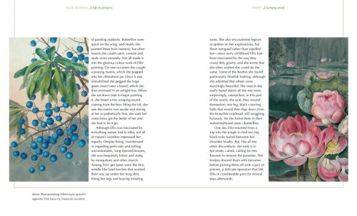 Ellis Rowan: A Life in Pictures - Image 3