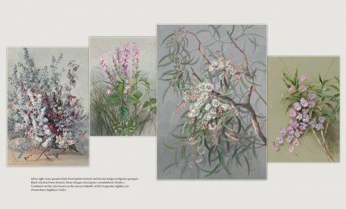 Ellis Rowan: A Life in Pictures - Image 4