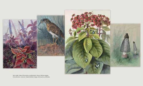 Ellis Rowan: A Life in Pictures - Image 5
