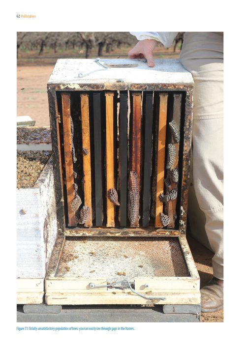 Pollination Using Honey Bees:  A Practical Handbook - Image 4