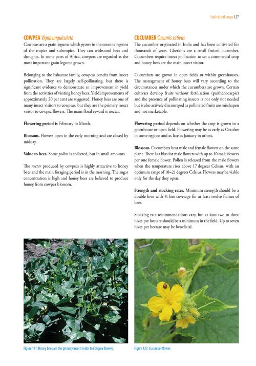 Pollination Using Honey Bees:  A Practical Handbook - Image 5