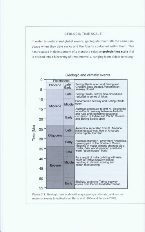 Return to the Sea: The Life and Evolutionary Times of Marine Mammals - Image 2