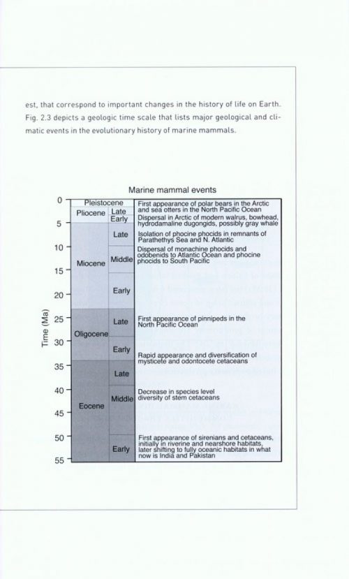 Return to the Sea: The Life and Evolutionary Times of Marine Mammals - Image 3