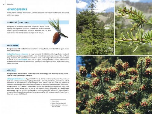 Field Guide to the Wild Flowers of the Eastern Mediterranean - Image 5