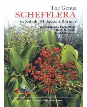 The Genus Schefflera in Sabah, Malaysian Borneo